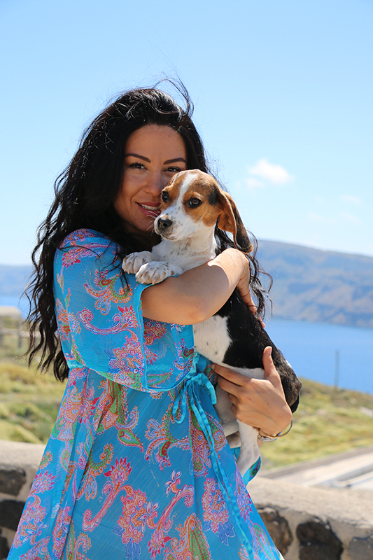 Portrait with a beagle in Santorini